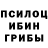 Галлюциногенные грибы Cubensis TheSahio