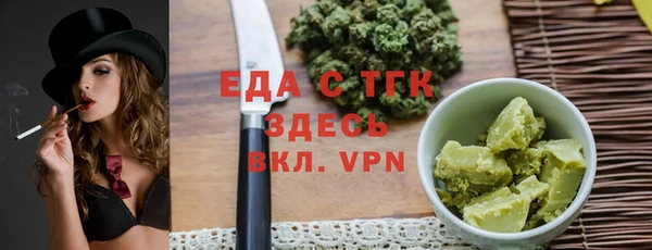 индика Каменногорск