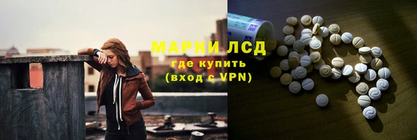 сатива Алзамай