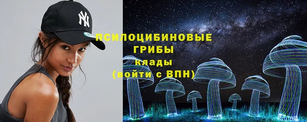 сатива Алзамай