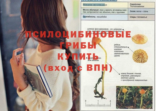сатива Алзамай