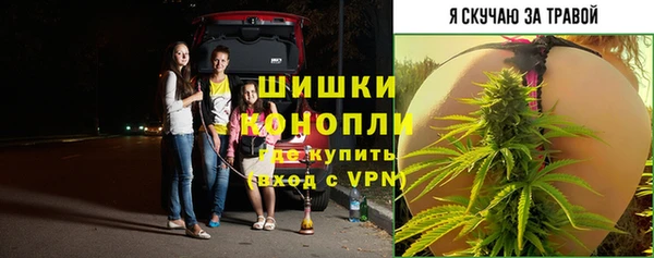 ГАЛЛЮЦИНОГЕННЫЕ ГРИБЫ Алексеевка