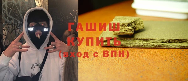 гидра Гусев