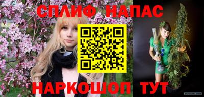 spice Камышлов
