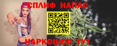 spice Камышлов