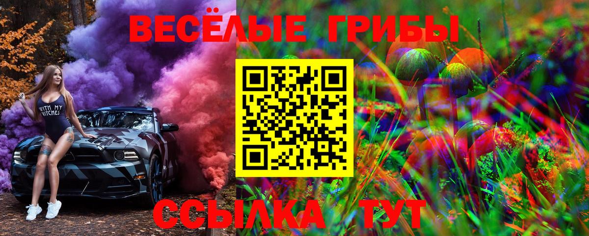 Подольск  Галлюциногенные грибы Magic Shrooms  Вход с VPN 